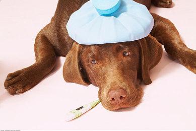 国产新作《深渊行者》概念图发布 挥剑战妖魔！